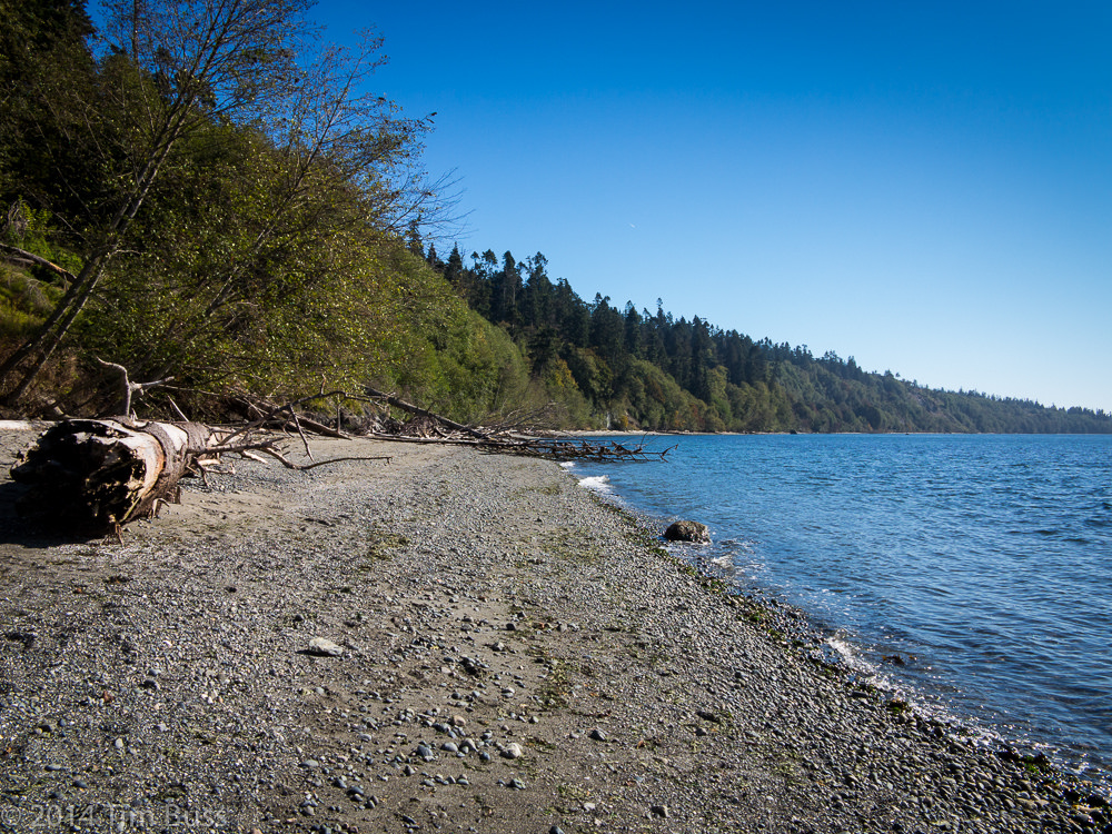 the beach at South Whidbey State Park